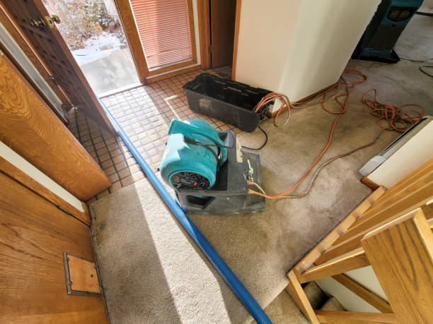 Best Water damage restoration near me  in Knoxville, IA